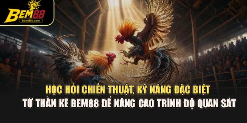 Học hỏi chiến thuật, kỹ năng đặc biệt từ thần kê BEM88 để nâng cao trình độ quan sát