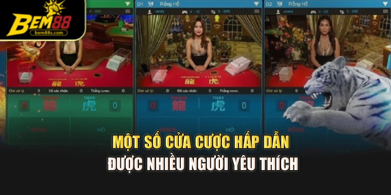 Một số cửa cược hấp dẫn được nhiều người yêu thích