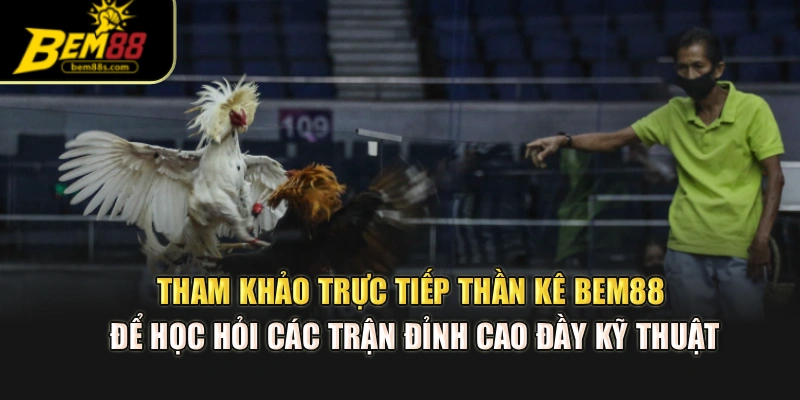 Tham khảo trực tiếp thần kê BEM88 để học hỏi các trận đỉnh cao đầy kỹ thuật